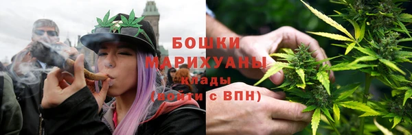 твердый Гусь-Хрустальный