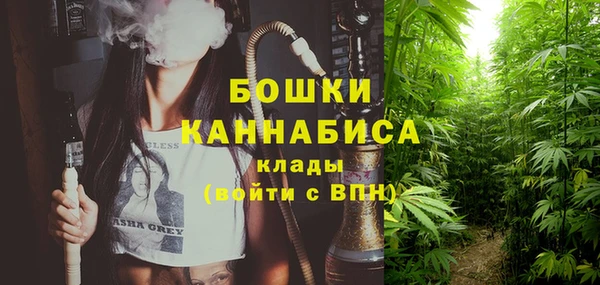 твердый Гусь-Хрустальный