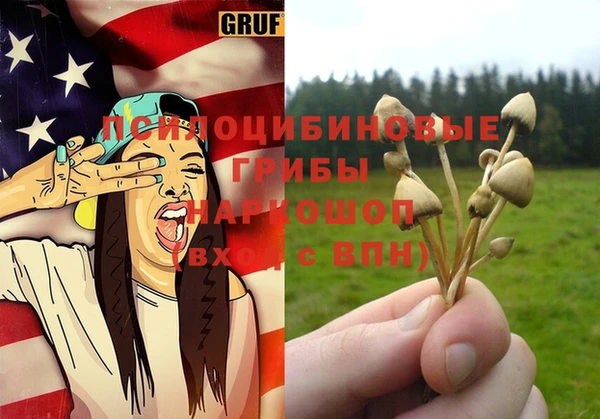мет Гусиноозёрск
