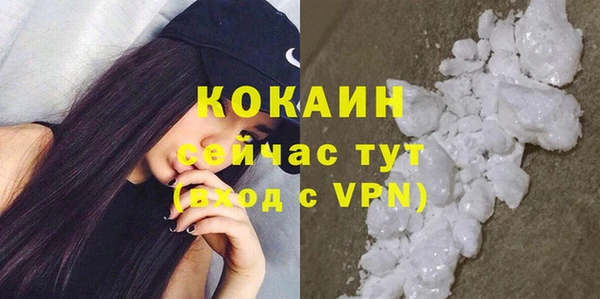 твердый Гусь-Хрустальный