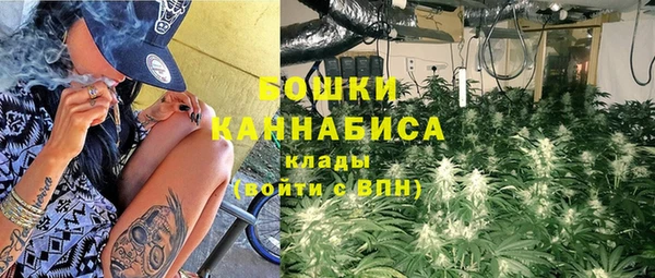 твердый Гусь-Хрустальный
