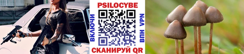 Купить  Приволжск  Псилоцибиновые грибы мухоморы 