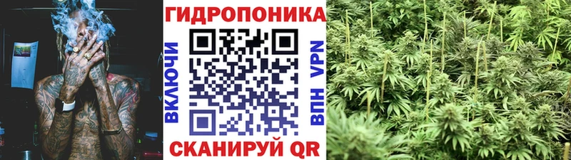Марихуана Amnesia  Купить закладки  Приволжск 
